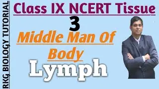 Lymph ,Tissue fluid, Interstitial Fluid, Functions of Lymph,  Middle man of Body  9th NCERT Tissue