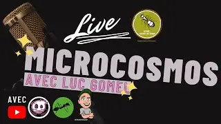 Rencontre avec Luc GOMEL de MICROCOSMOS !!! Annonce Live chez Myrme Secret de Terre