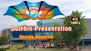 4K | AMAZING Dolphin Presentation | Georgia Aquarium Day Trip 精彩海豚表演 | 喬治亞水族館一日遊