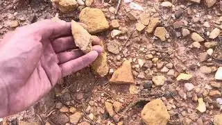 Archaic Artifact Native American Savannah River Central Virginia
