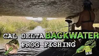 Summer Ca Delta Backwater Frog Fishing | Insane 3 Days Of Nothing But Topwater Crushing Action