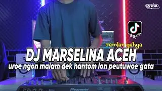 DJ MARSELINA ACEH - UROE NGON MALAM DEK HANTOM LON PEUTUWOE GATA RAMLAN YAHYA TIKTOK TERBARU 2023