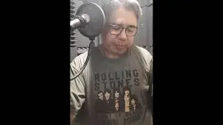 The Smashing Pumpkins - Disarm [MudLance Temple Vocal Cover]
