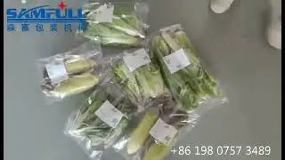 Samfull semi automatic manual vegetable flow pack wrapping machine with weighing & labeling machine