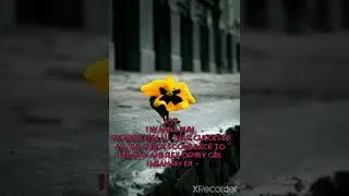 PUNCHIE-HAWAII(LYRICS)