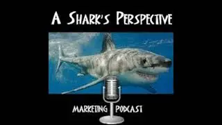 #64 - Prodotto of Good Marketing