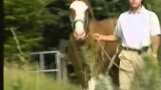 Especial Carlos Ribas - Tv Spruce Meadows - Parte 1/2