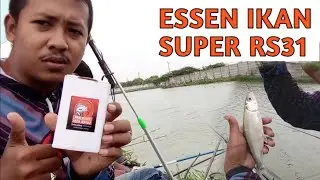 Tester ESSEN IKAN SUPER RS31_Full strike tarikan ikan BANDENG