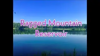Однодневный поход в Ragged Mountain Reservir (соло) &mdash; Шарлоттсвилл, Вирджиния