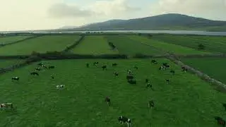 True Taste of Kerrygold
