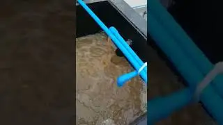 lamella clarifier video from stephanie 2022224