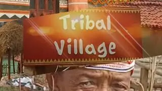 Tribal Village : The most Amazing House | National Geographic | #triballife #odisha #trending #video