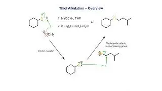 Thiol Alkylation