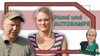 So geht dein Hund gerne und sicher ins Auto! Hundetraining. Autorampe