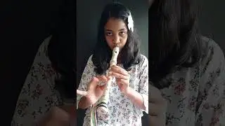 Fight song recorder cover by Amanda