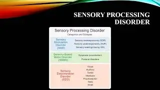Occupational Therapy Sensory Diet and Nutrition for Autism Spectrum Disorder