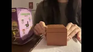 A hidden blind box that enters the soul Despicable Me Minions