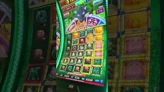 Lots of Gold, on small bet 