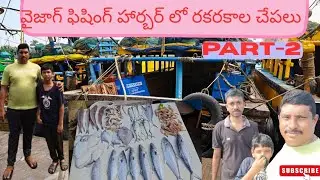 Vizag fishing harbour # visakhapatnam fishing harbour # fish market in visakhapatnam 
