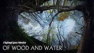 of WOOD and WATER (4K) - FlyingEyes Media