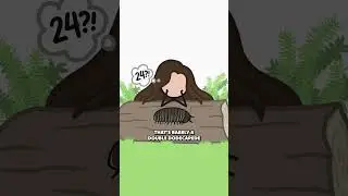 МНОГОНОЖКА