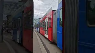 Bern Tram old & New 🇨🇭-Switzerland #trending  #shorts
