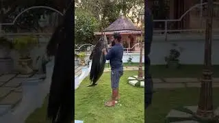 M4 tech video BTS behind the scene