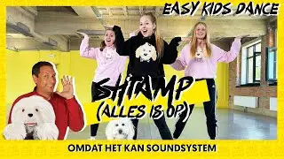 ALLES IS SHTAMP - OMDAT HET KAN SOUNDSYSTEM ( Alles is op van Samson & Gert ) | EASY KIDS DANCE
