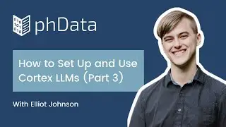 How to Set Up and Use Cortex LLMs (Part 3)