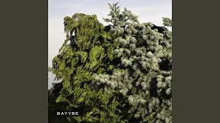 Bayybe 01