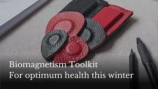 Biomagnetism Winter Toolkit: Boost Immunity, Circulation, Combat the Winter Blues & Soothe Joints