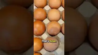 Egg prices are starting to drop, new report finds #shorts