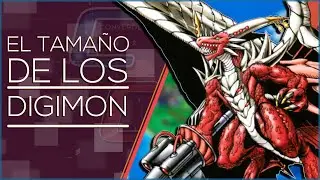【El Tamaño de los Digimon y su Funcionamiento】