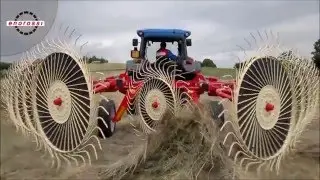 ENOROSSI BATRAKE