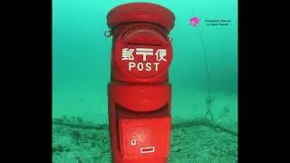 Submarine Mailbox?, Wakayama