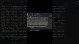 Advanced XSS Hunting with DalFox Find XSS Vulnerabilities Like a Pro part 4