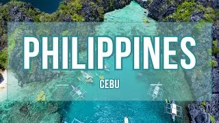 Cebu Adventure: Pristine Beaches & Unique Wildlife