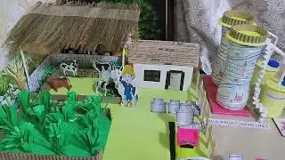 Amul dairy farm school project