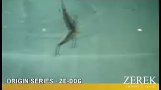 Zerek Lures - Ze-Dog (Tank Test)