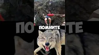Запомни ☝️и ПОДПИШИСЬ!#цитатыпрожизнь #цитаты #жизнь#highlights #subscribe #shorts #shortvideo
