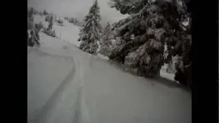 Snowboard Bogus Basin