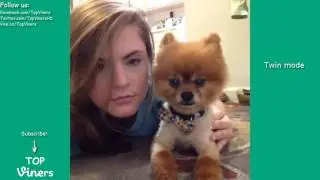 Sara Hopkins Vine Compilation with Titles! - BEST Sara Hopkins Vines 2017 | Top Viners