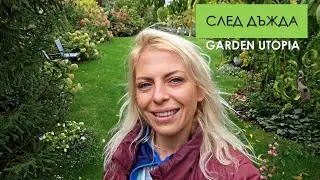 ОБИКОЛКА на ХАОТИЧНАТА градина: #Ден 39 от 90 ДНИ НА СЕЛО