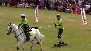 Happy Little Accidents - Advanced Horseboarding UK team.