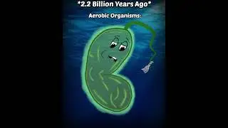 The Great Oxidation Event