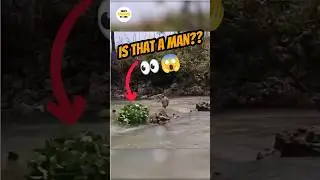 He Became a Floating Leaf to Catch a Bird?! 😱 (Genius Technique!)