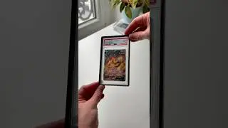 Bumper Upgrade for my PSA Collection 😮&zwj;💨