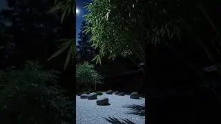 Moving Shadows at Night in a Zen Garden