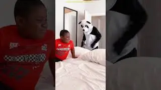 Marvelous Dancing Polish Cow funny cow dance Cow Song Cow Videos cow farm monkey bibi cow milk #cow