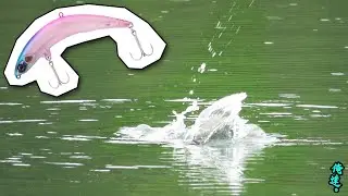 雨の日に新型ルアーをピクピクさせると…【無双】